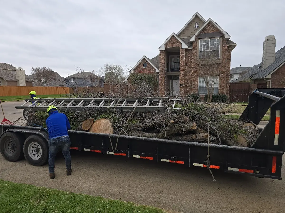 Expert Tree Fertilization with proper safety equipment in Belleville